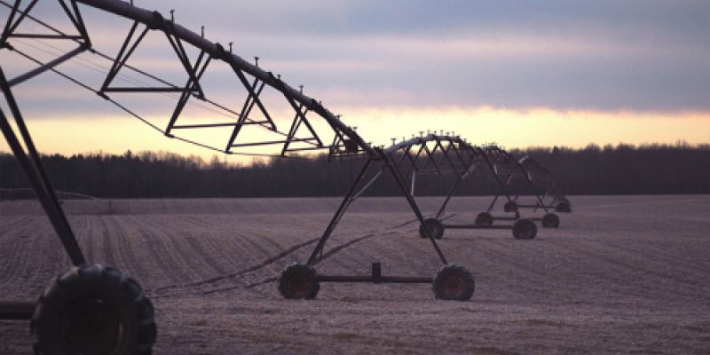 Pivot en el campo