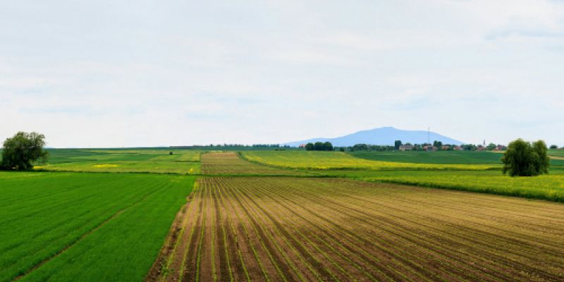 Panorámica campo